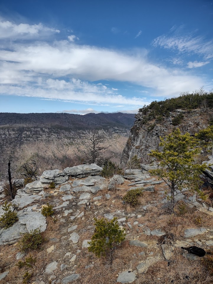 The "lunar" landscape of Shortoff Mountain.