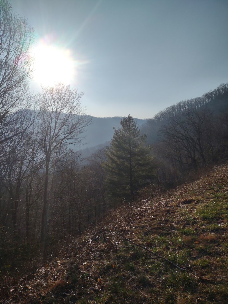A view of the Blue Ridge Mountains from the Rattlesnake Lodge Trail.