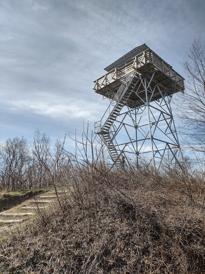 The Rich Mountain Fire Tower.