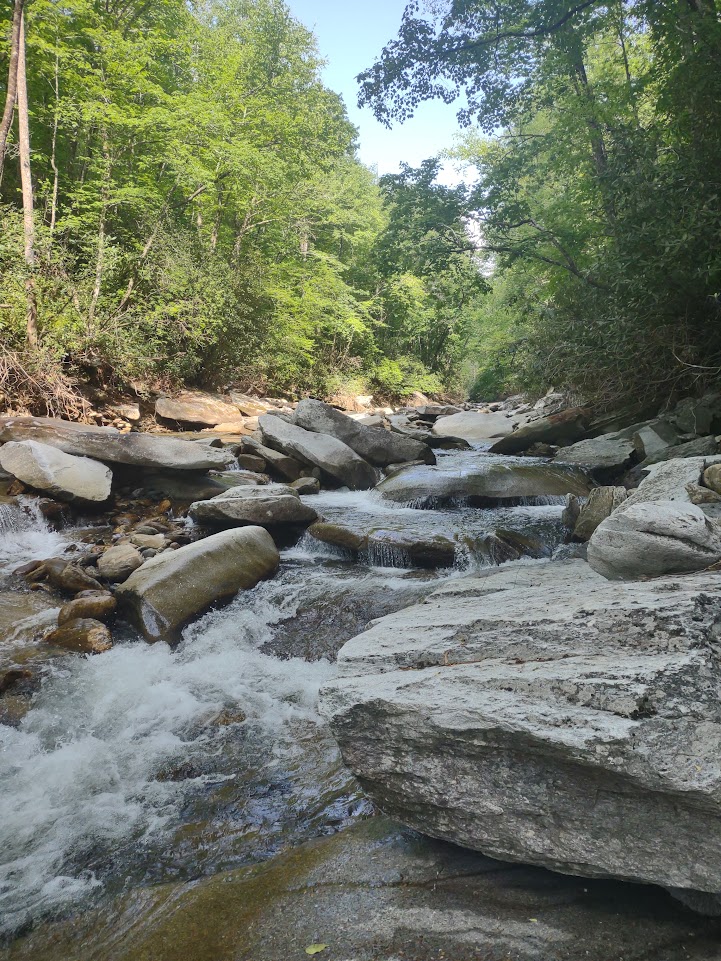 Davidson River, North Carolina. 