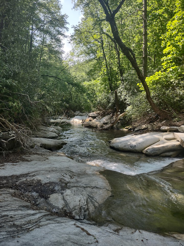Whale back swimming hole in Pisgah National Forest. 