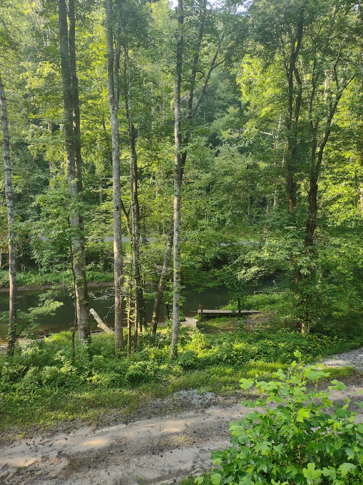 An inlet of Lake Santeelah