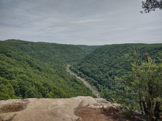 A view over the edge of the New River Gorge in West Virginia.