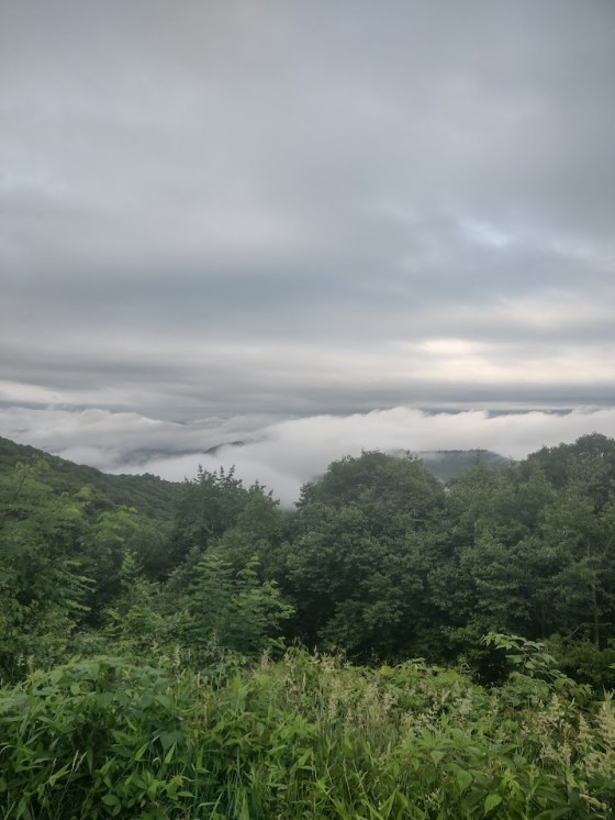 A foggy view from the western-most portions of the Blue Ridge Parkway.